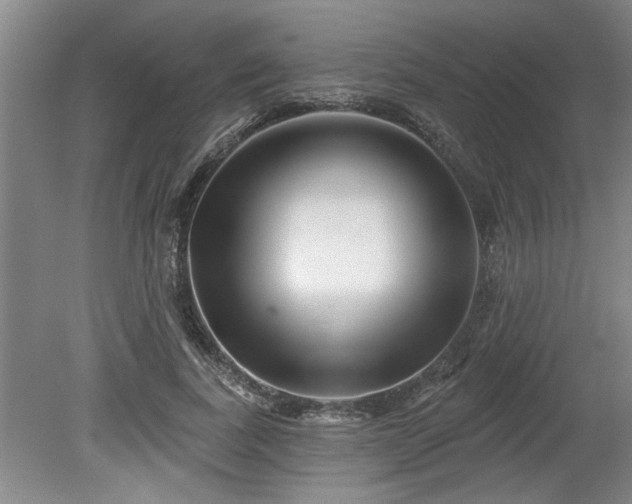 X0000078830739200611131122