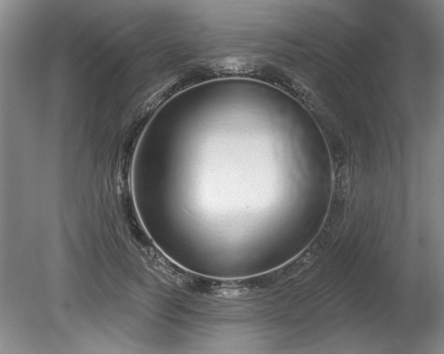 X0000078830746200611131122