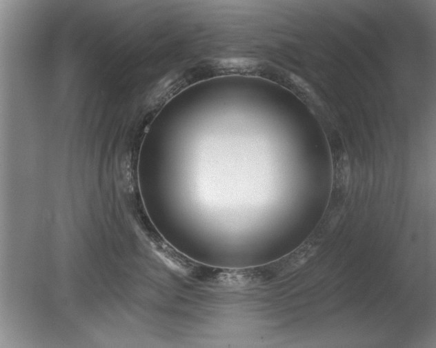 X0000078830764200611131123