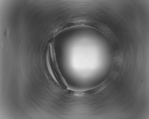 X0000078830767200611131123