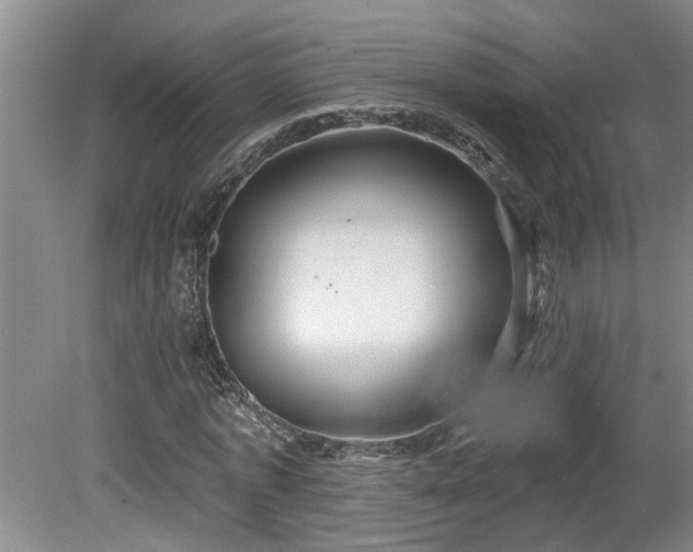 X0000078830773200611131122