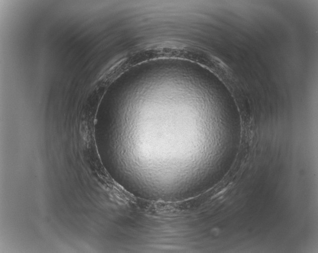 X0000078830774200611131122