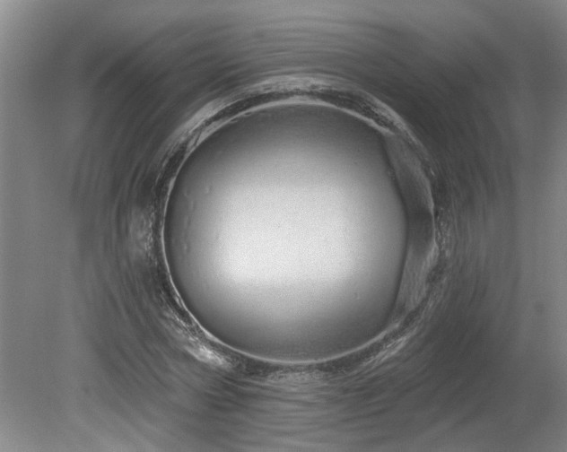 X0000078830778200611131122