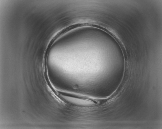X0000078830791200611131121
