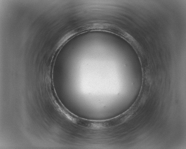 X0000078830794200611131121