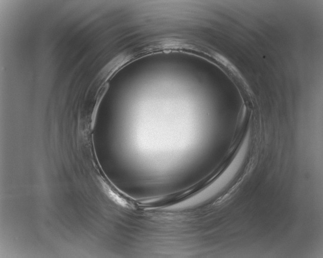 X0000078830801200611131121