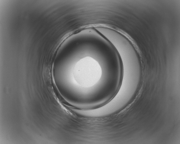 X0000078830809200611131121