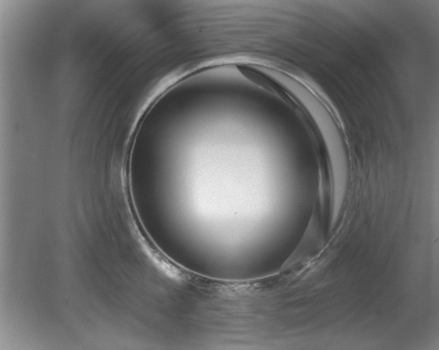 X0000078830813200611131121