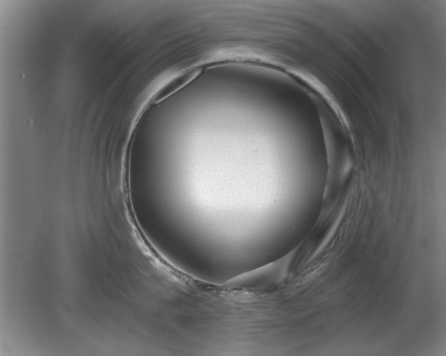 X0000078830815200611131121