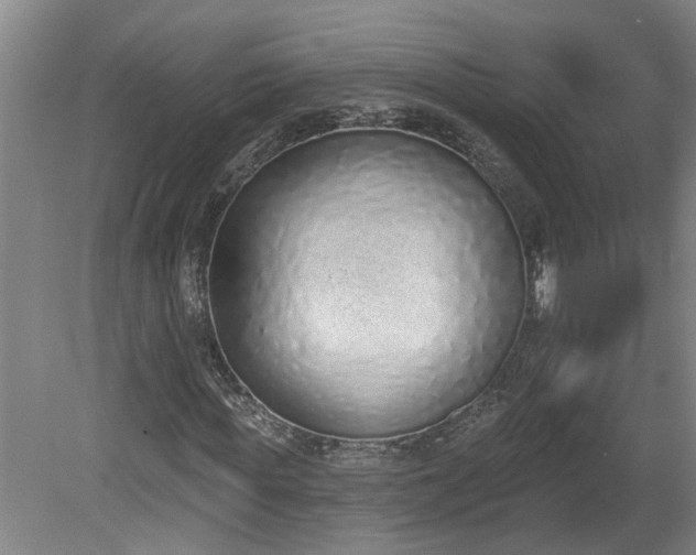 X0000078830819200611131120