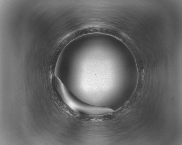 X0000078830822200611131120