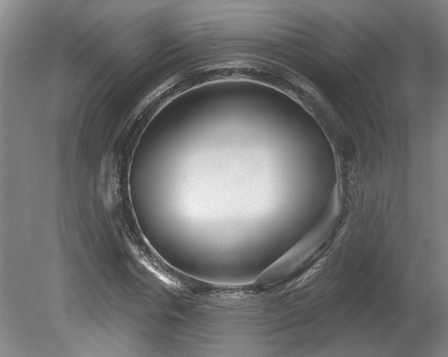 X0000078830826200611131120