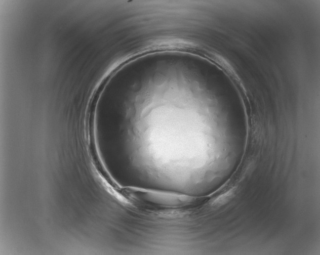 X0000078830843200611131121