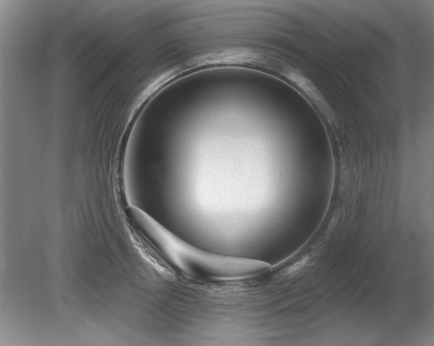 X0000078830850200611131121