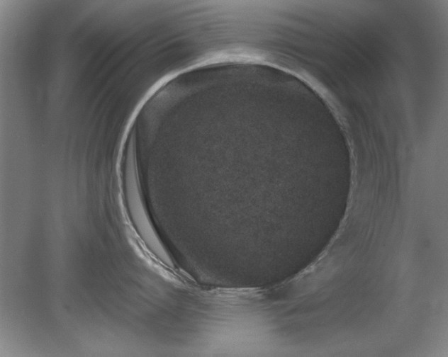 X0000078830864200611131121