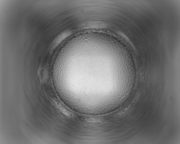 X0000078830874200611131120