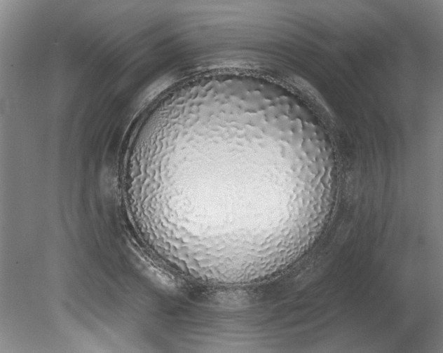 X0000078830882200611131120