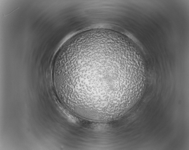 X0000078830886200611131120