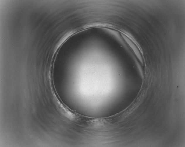 X0000078830906200611131120