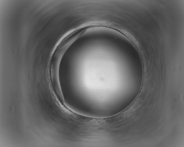 X0000078830912200611131119