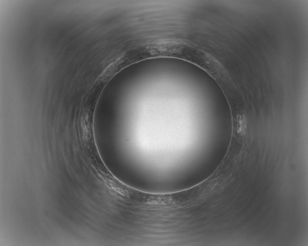 X0000078830915200611131119