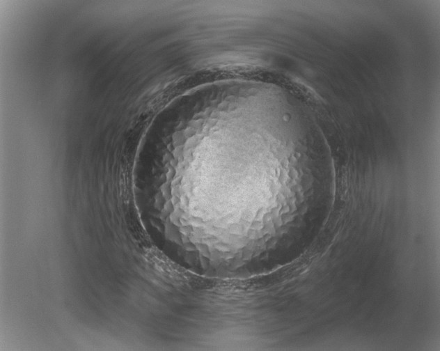 X0000078830917200611131119