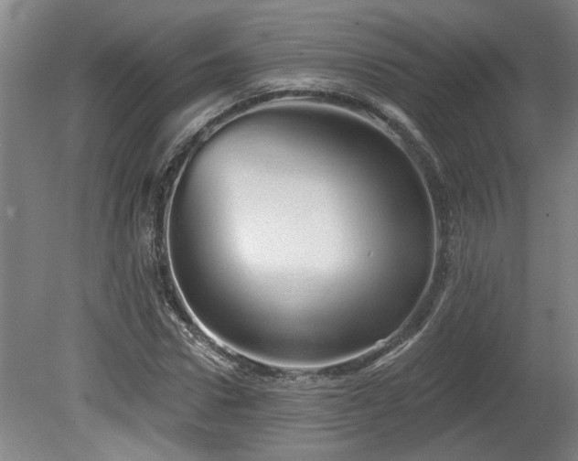 X0000078830922200611131119
