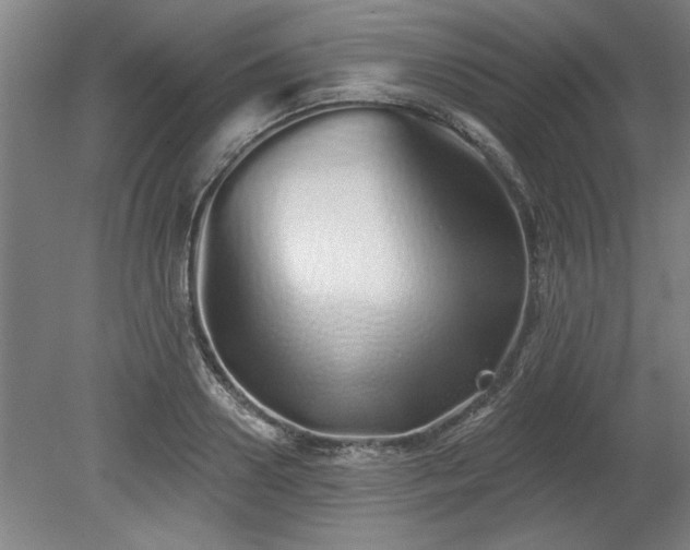 X0000078830938200611131119