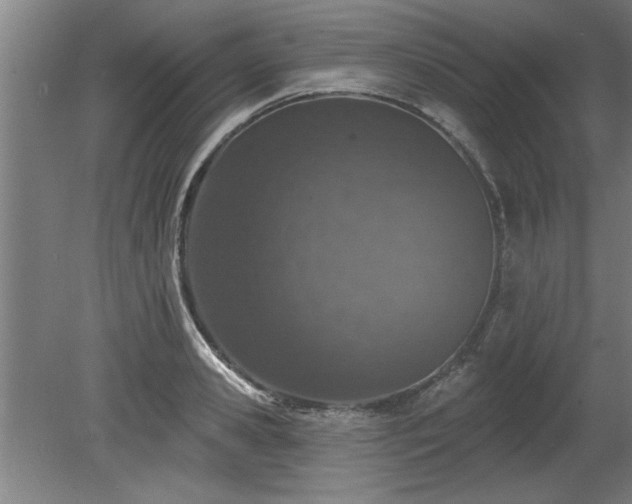X0000078830941200611131119