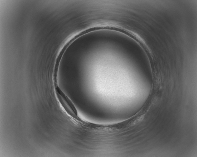 X0000078830943200611131119