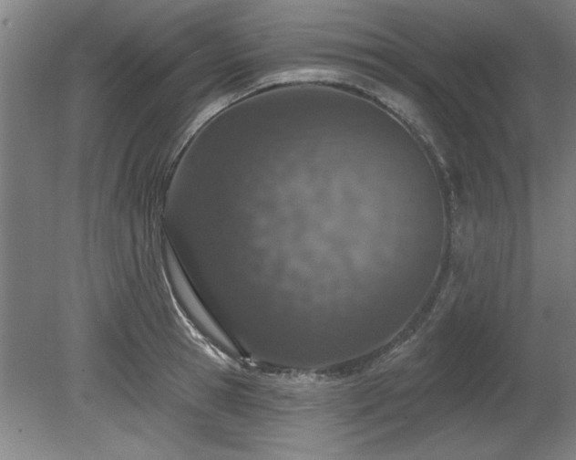 X0000078830945200611131119