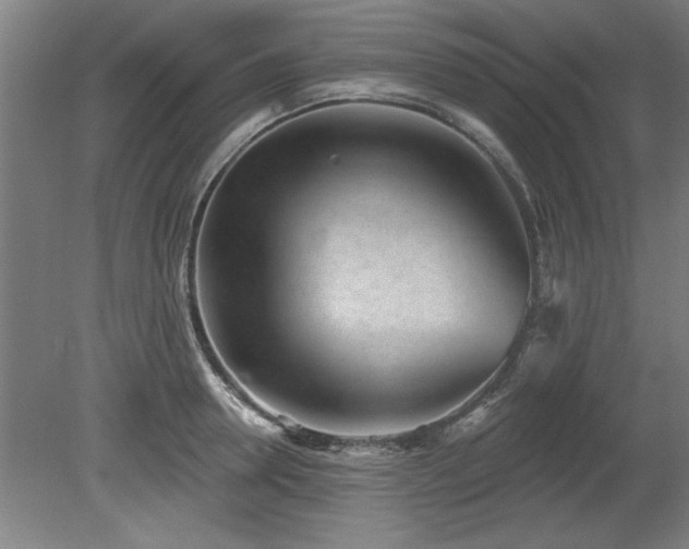 X0000078830946200611131119
