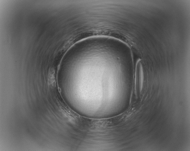 X0000078830963200611131119