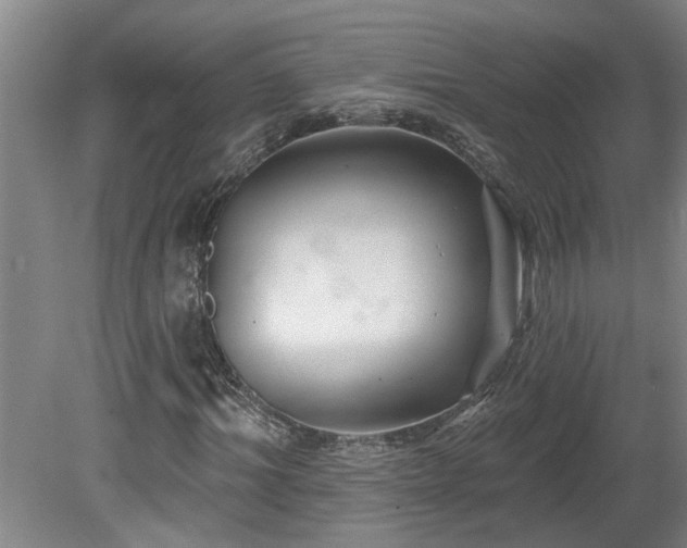 X0000078830964200611131119