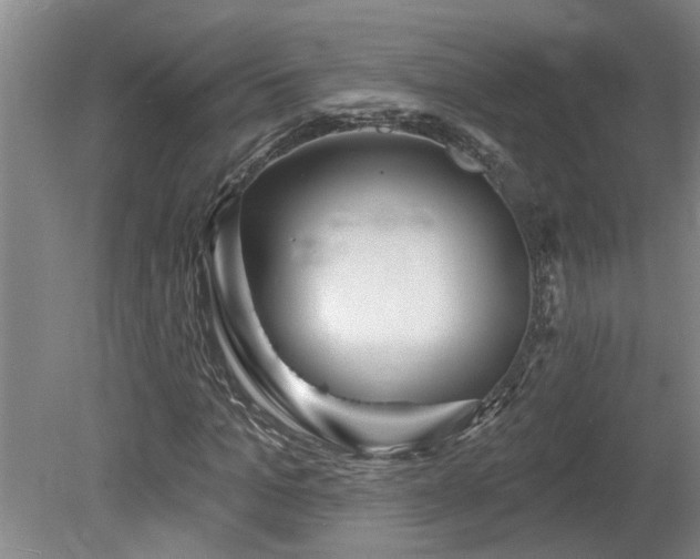 X0000078830965200611131119