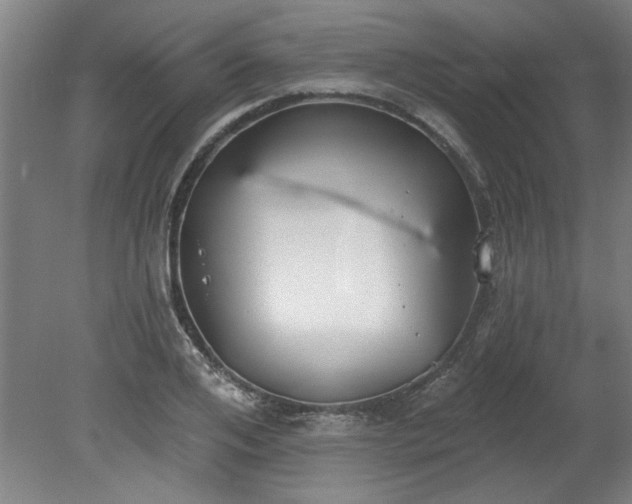 X0000078830984200611131118
