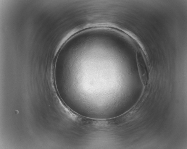 X0000078831006200611131118