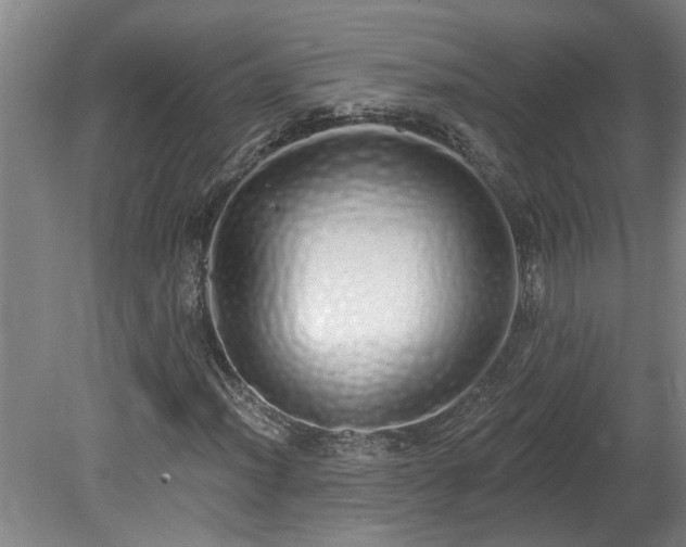 X0000078831012200611131117