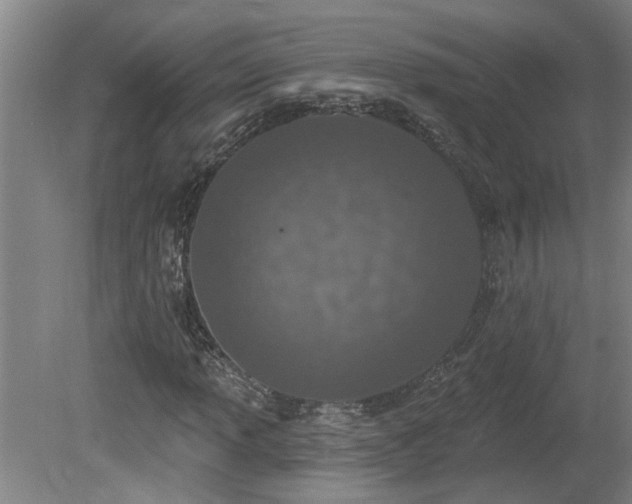 X0000078831013200611131117