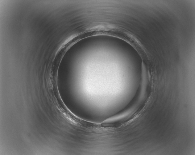 X0000078831018200611131117
