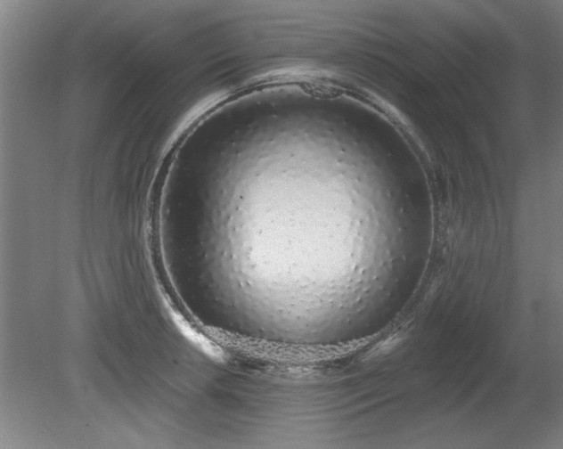 X0000078831042200611131118