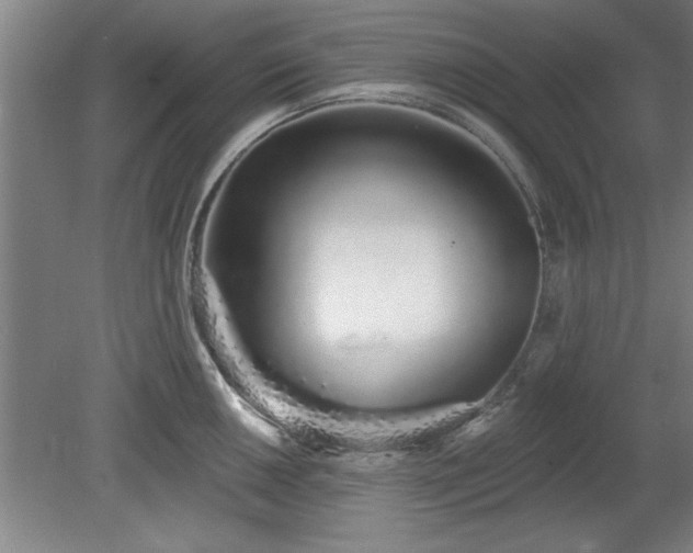 X0000078831050200611131118