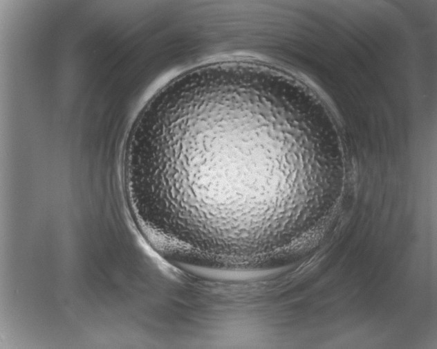 X0000078831054200611131118