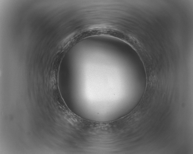X0000078831062200611131117