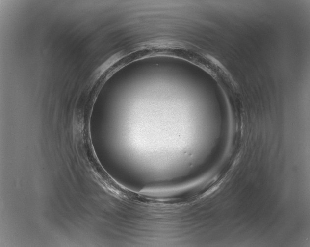 X0000078831065200611131117