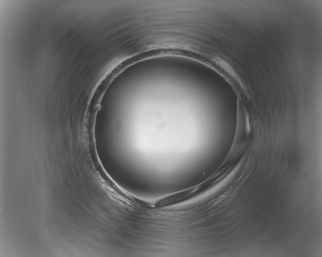 X0000078831068200611131117