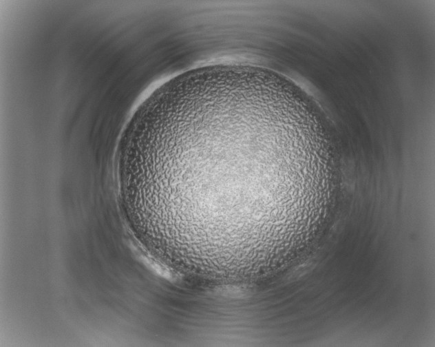 X0000078831078200611131117