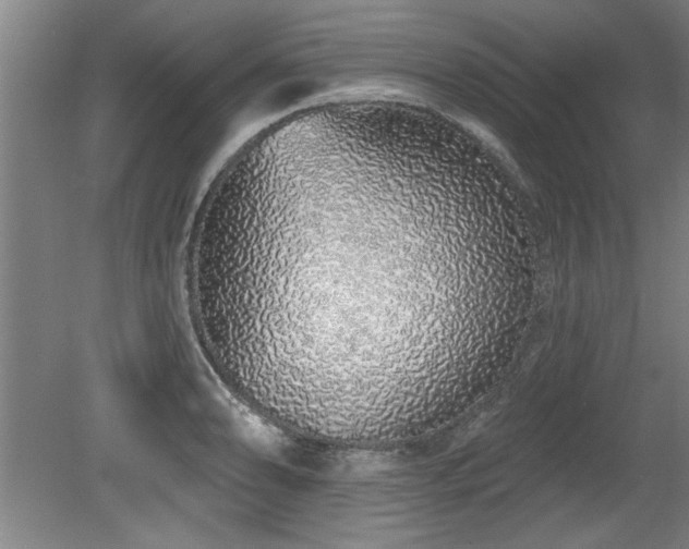 X0000078831086200611131116