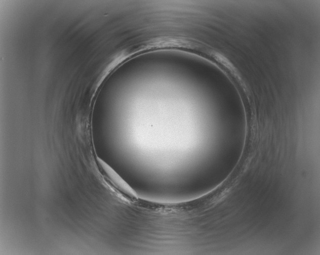 X0000078831089200611131116