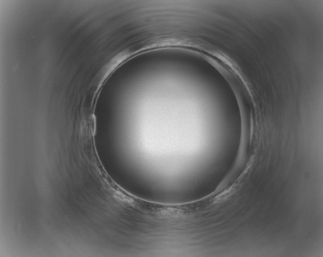 X0000078831097200611131116